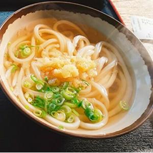 【パネもく!】香川県産 讃岐うどん(A4パネル付)の詳細画像1