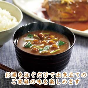アマノフーズ味噌汁セレクトギフト フリーズドラ...の詳細画像3