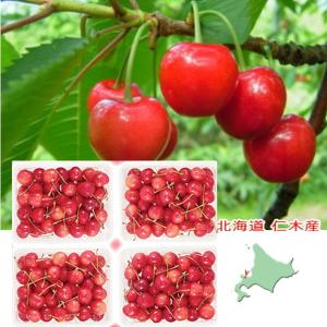 北海道　仁木産さくらんぼ 紅秀峰 約1,2ｋｇ