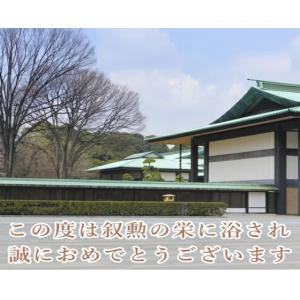 SEIKO EMBLEM セイコーエンブレム ...の詳細画像3