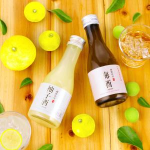 百年の孤独 百年の孤独 麦焼酎 40度 720ml あすつく 父の日 : 世界のお
