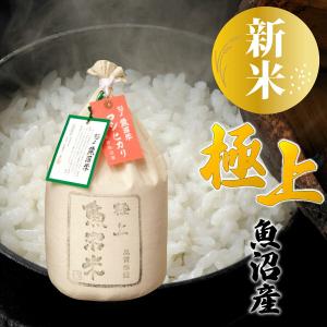 新之助 米 10kg (5kg×2袋) 令和6年産 新潟県産 お米 10キロ 白米