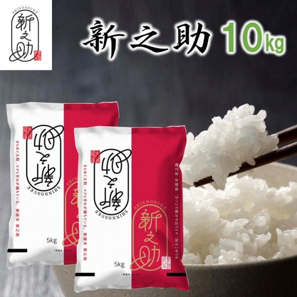 新米 令和7年産 米 10kg (5kg×2袋) 新之助 新潟県産 お米 10キロ 白米 しんのすけ...