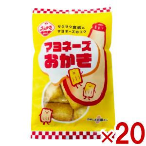 植垣米菓 マヨネーズおかき 45g×20入   本州一部
