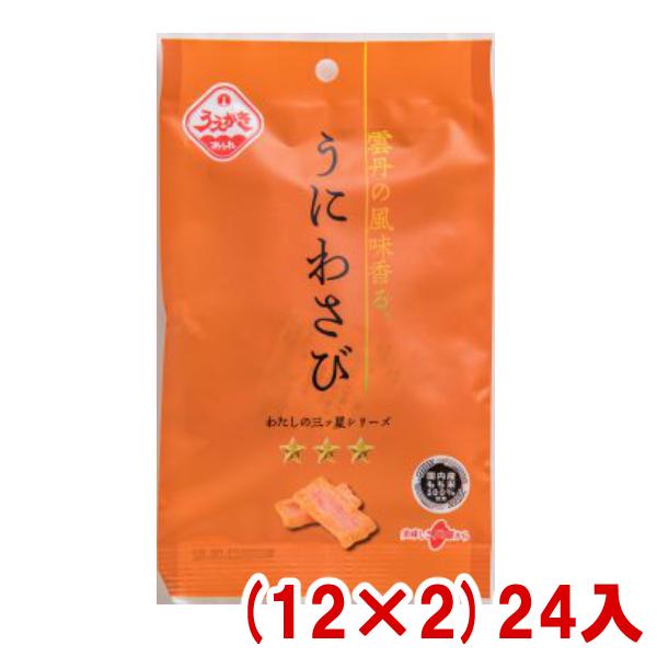 植垣米菓 22g うにわさび (12×2)24入 (ウニ ワサビ おかき 米菓 雲丹 小袋 お菓子)...