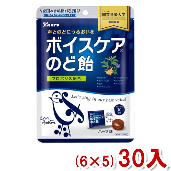 カンロ ボイスケアのど飴 個包装タイプ 70g (6×5)30入 (キャンディ のどあめ) (Y80...