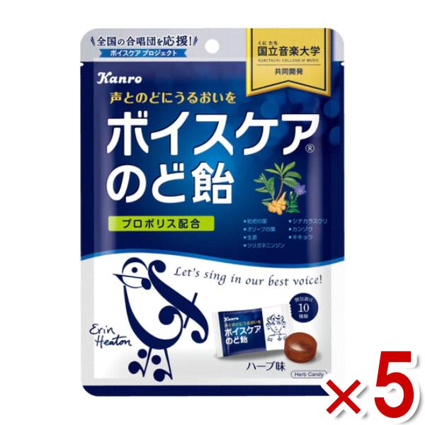 カンロ ボイスケアのど飴 個包装タイプ 70g×5袋セット (ポイント消化)(CP)(賞味期限202...