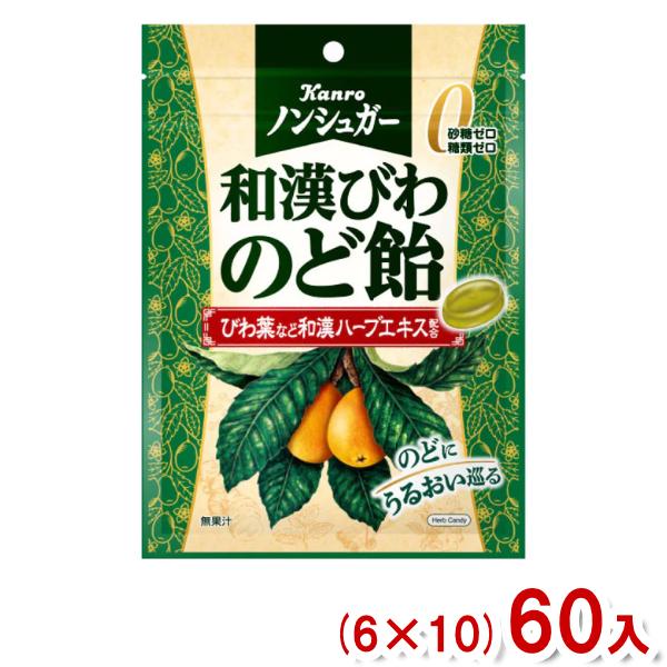 カンロ 80g ノンシュガー 和漢びわのど飴 (6×10)60入 (のどあめ) (Y10)(ケース販...