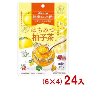 なとり 9g JUSTPACK いかそうめん (10×2)20入 (イカソーメン おつまみ
