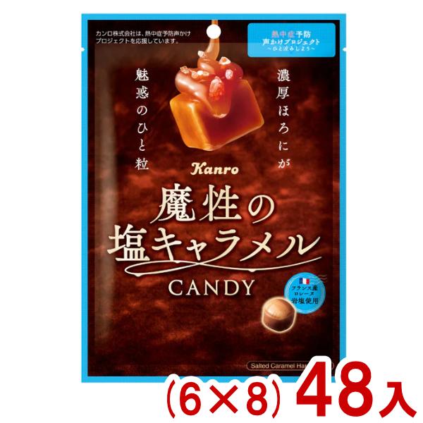 カンロ 65g 魔性の塩キャラメルキャンディ (6×8)48入 (飴 お菓子 おやつ 景品 まとめ買...