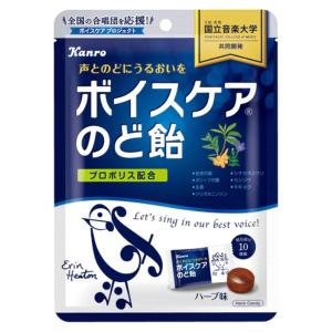 カンロ ボイスケアのど飴 個包装タイプ 70g×6入 (飴 キャンディ まとめ買い) (4901351001745)｜takaoka