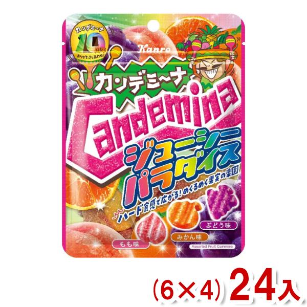 カンロ 72g カンデミーナグミ ジューシーパラダイス (6×4)24入 (ハードグミ お菓子) (...