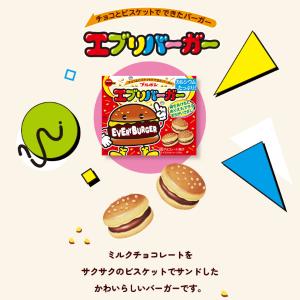 ブルボン エブリバーガー 66g×10入 (チ...の詳細画像3