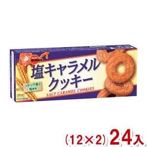 ブルボン 9枚 塩キャラメルクッキー (12×2...の商品画像