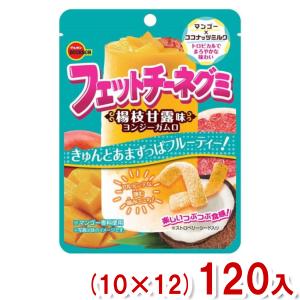 ブルボン 47g フェットチーネグミ 楊枝甘露味 (10×12)120入 (ヨンジーガムロ) (Y12)(ケース販売) 本州一部送料無料｜takaoka