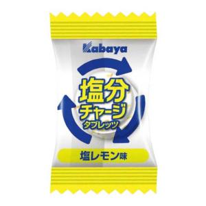 カバヤ 81g 塩分チャージタブレッツ 塩レモ...の詳細画像3