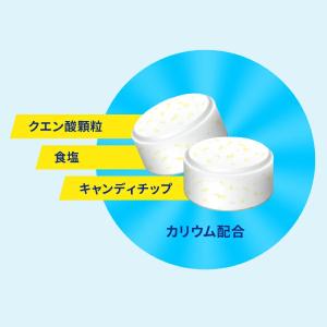 カバヤ 81g 塩分チャージタブレッツ 塩レモ...の詳細画像4