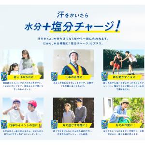 カバヤ 81g 塩分チャージタブレッツ 塩レモ...の詳細画像5