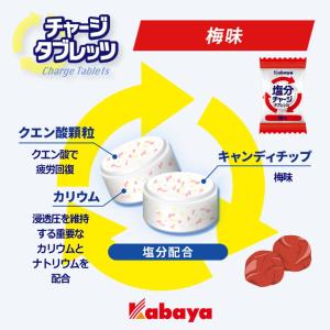 カバヤ 81g 塩分チャージタブレッツ 梅 (...の詳細画像4