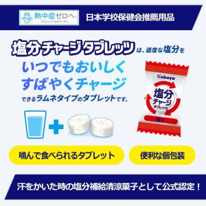カバヤ 81g 塩分チャージタブレッツ 梅 (...の詳細画像5