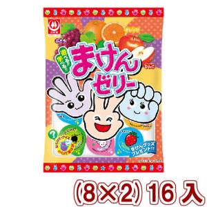杉本屋 まけんゼリーミックス 16袋入  本州一部