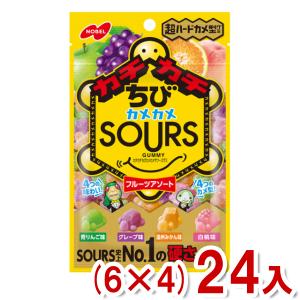 ノーベル 70g カチカチちびカメカメサワーズグミ フルーツアソート (6×4)24入 (お菓子 景品) (Y80) (new) 本州一部送料無料