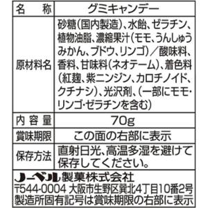 ノーベル カチカチちびカメカメサワーズグミ フ...の詳細画像3