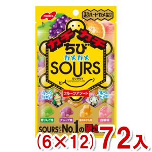 ノーベル 70g カチカチちびカメカメサワーズグミ フルーツアソート (6×12)72入 (Y12) (new) 本州一部送料無料