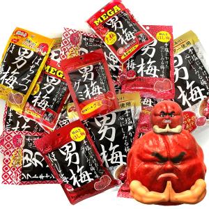 ノーベル 男梅 シリーズ 食べ比べ アソート セット  18個入 本州一部