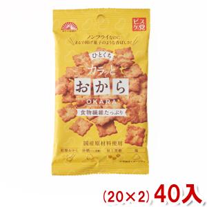 前田製菓 38g ひとくち カラッとおから (20×2)40入 (ケース販売)(Y10) 本州一部送料無料｜ゆっくんのお菓子倉庫ヤフー店