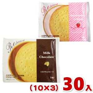 前田製菓 ビスケットリサーチ (10×6)60入 (お菓子 販促品 粗品 景品