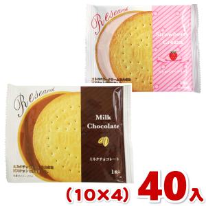 前田製菓 ビスケットリサーチ (10×6)60入 (お菓子 販促品 粗品 景品