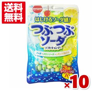 明治チューインガム つぶつぶソーダ 10入 メール便全国