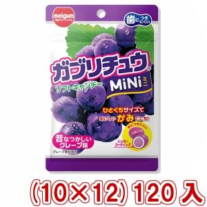 明治チューインガム ガブリチュウmini グレープ (10×12)120入 (Y10)(ケース販売) 本州一部送料無料｜takaoka