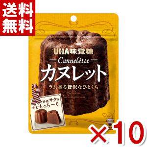 味覚糖 カヌレット 40g×10入 (洋菓子 カヌレ) (ポイント消化)(CP) メール便全国送料無料