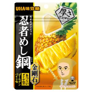 忍者めし 鉄の鎧 グレープ味 9袋セット UHA味覚糖 広島倉庫 : Tech-In