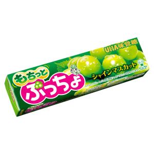 ぷっちょ 味覚糖 10粒 ぷっちょスティック もちっとシャインマスカット