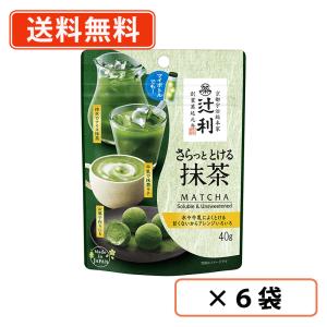 辻利 さらっととける抹茶  40ｇ×6袋  抹茶 粉末 green tea　【送料無料(一部地域を除く)】｜takaomarket