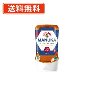 明治屋 カピラーノ アクティブマヌカハニー MG300＋ 250g×2本 蜂蜜