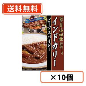 新宿中村屋 インドカリー ビーフスパイシー200g×10個　送料無料(一部地域を除く)｜takaomarket