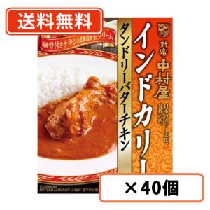 新宿中村屋 インドカリー タンドリーバターチキン 180g×40個 カレー レトルトカレー curry バターチキンカレー 送料無料(一部地域を除く)｜takaomarket