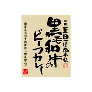 三田屋総本家黒毛和牛のビーフカレー ２１０ｇ×１０個【送料無料（一部地域除く）】