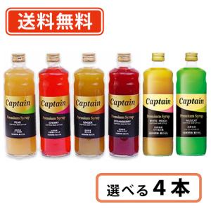 MONIN（モナン） ノンアルコールシロップ 700ml 選べる6本セット《B