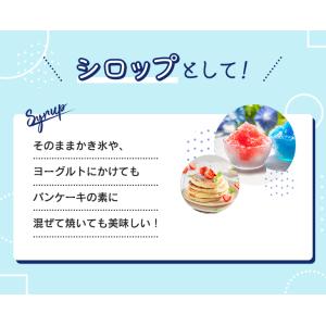 キャプテンシロップ マンゴー 600ml×6本...の詳細画像4
