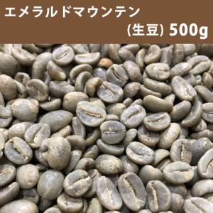 コーヒー 生豆 エメラルドマウンテン 500ｇ【同梱不可】【送料無料/メール便】｜takaomarket
