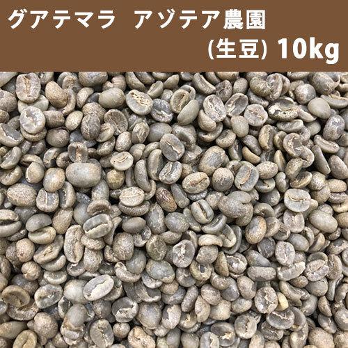 コーヒー 生豆 グアテマラ アゾテア農園 10ｋｇ(5ｋｇ×2)  【同梱不可】　送料無料(一部地域...