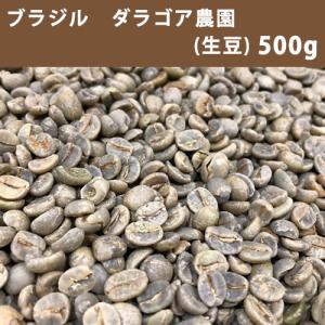 コーヒー 生豆 ブラジル ダ ラゴア農園 500ｇ【同梱不可】　【送料無料/メール便】｜takaomarket