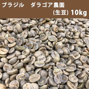 コーヒー 生豆 ブラジル ダ ラゴア農園 10ｋｇ(5ｋｇ×2) 【同梱不可】　送料無料(一部地域を除く)｜takaomarket