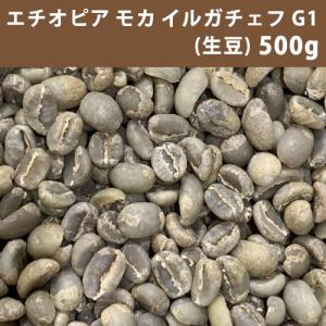 コーヒー 生豆 エチオピア モカ イルガチェフG1 10kg(5kg×2) 【同