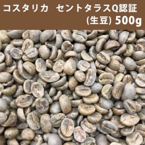 コーヒー 生豆 コスタリカ セントタラス Ｑ認証 500ｇ　【同梱不可】　【送料無料/メール便】｜takaomarket